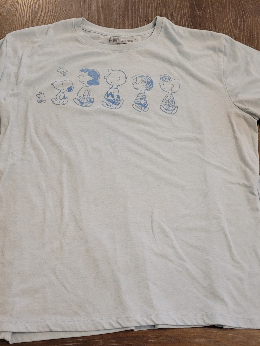 Peanuts Graphic Tee for Women - Light Blue Snoopy & Friends